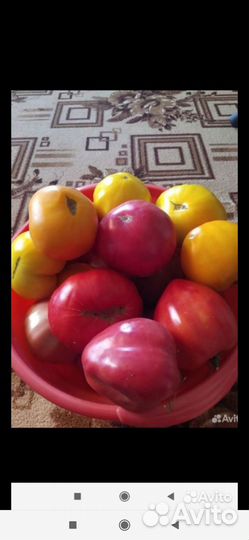 Помидоры домашние