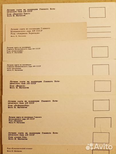 Винтажные советские открытки с розами