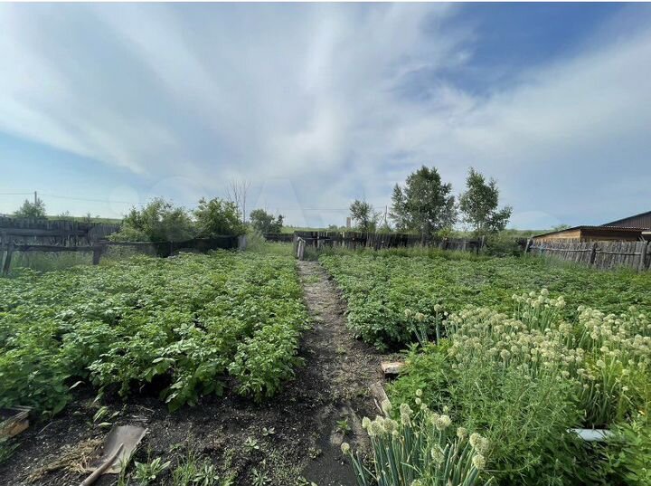 Дом 60 м² на участке 6 сот.