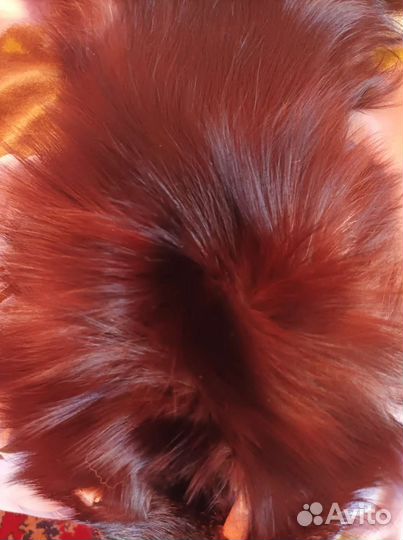 Шкурка лисы чернобурки