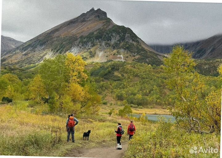 Турпутевка Камчатка летом экскурсии 7-9 дн