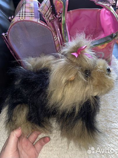 Собачки в сумочке Pucci Pups