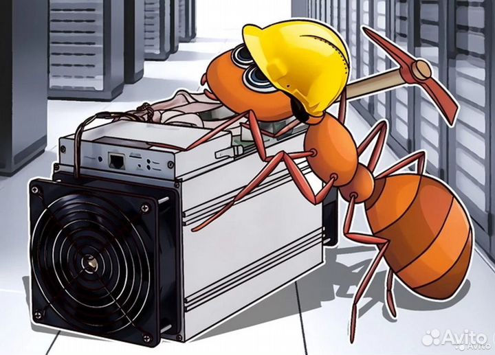 Ремонт asic и hash плат быстро с гарантией