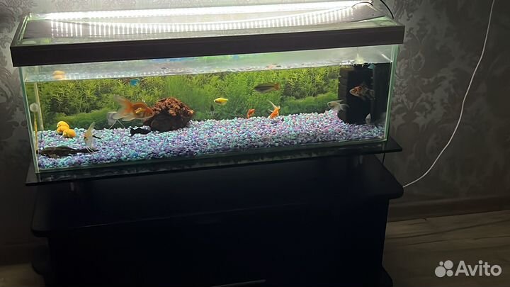 Аквариум