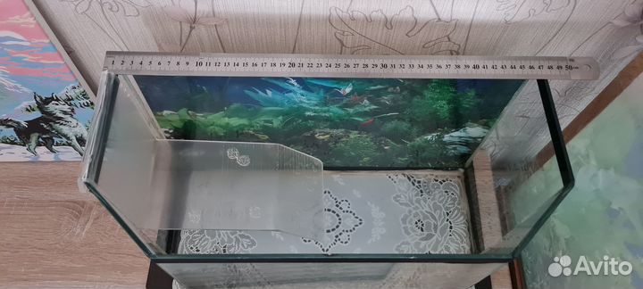 Аквариум для красноухой черепахи
