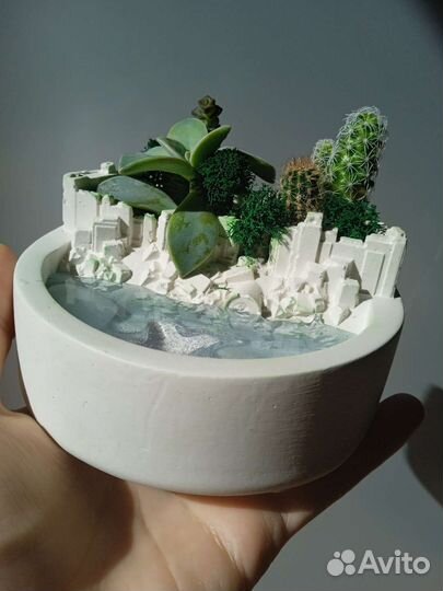 Букеты.Комнатные цветы. Подарок. Цветы