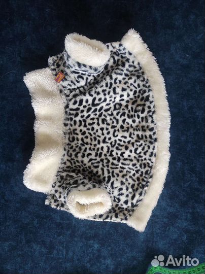 Одежда для собак мелких пород