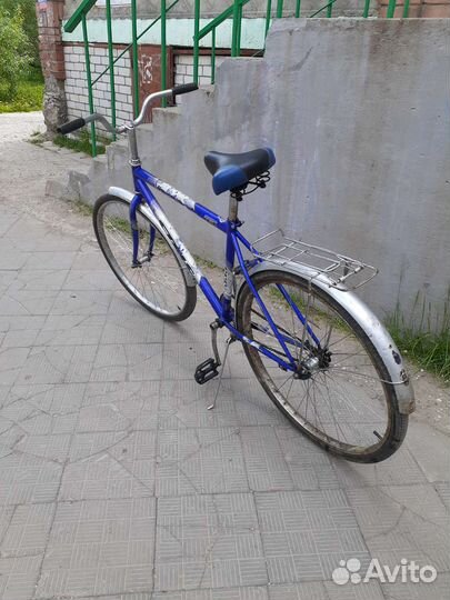 Forward Larsen Stels