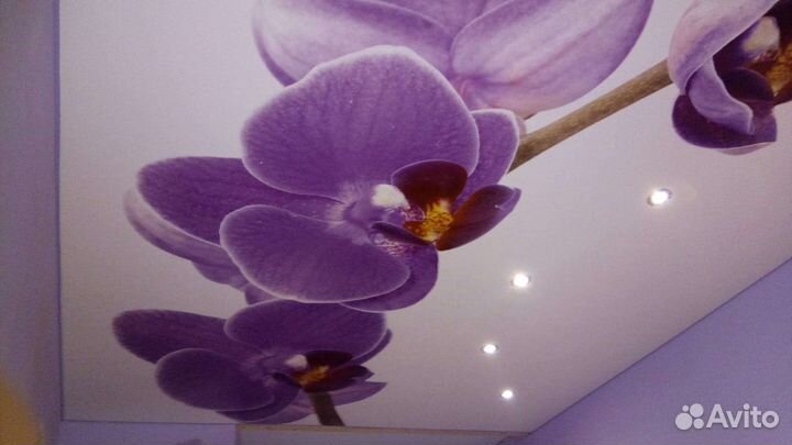 Натяжные потолки акция 2+1