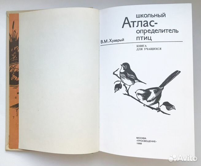 Школьный Атлас - определитель птиц. Храбрый В.М