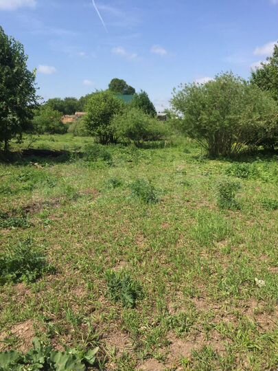 Участок 30 сот. (ИЖС)