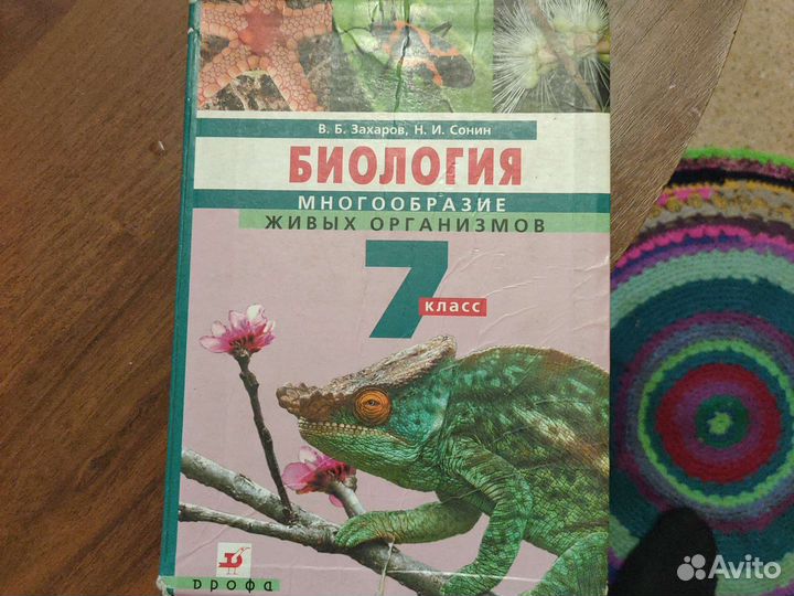 Учебник