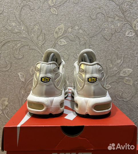 Nike air max plus TN