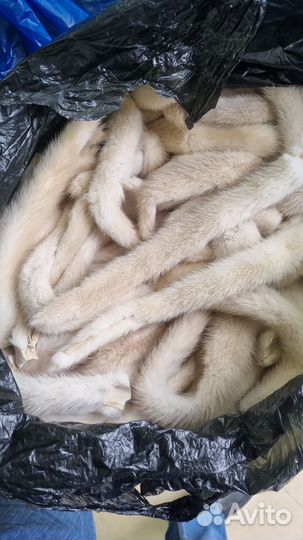 Хвосты норки