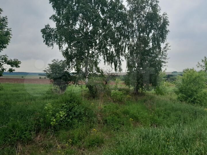 Участок 21 сот. (СНТ, ДНП)