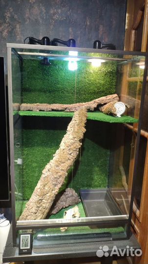 Террариум для рептилий