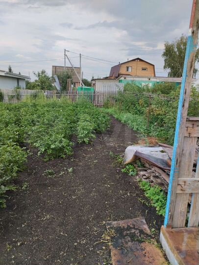 Участок 4,9 сот. (СНТ, ДНП)