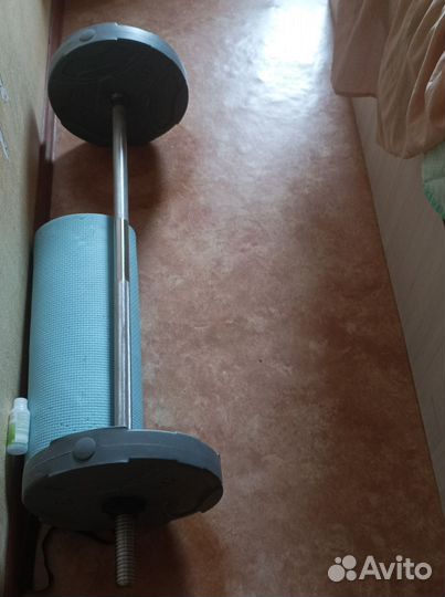 Штанга с блинами