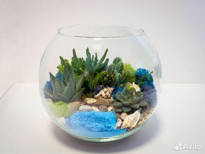 Флорариум с суккулентами и водоемом