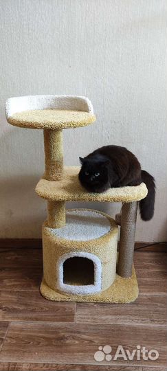 Домик для кошки с когтеточкой