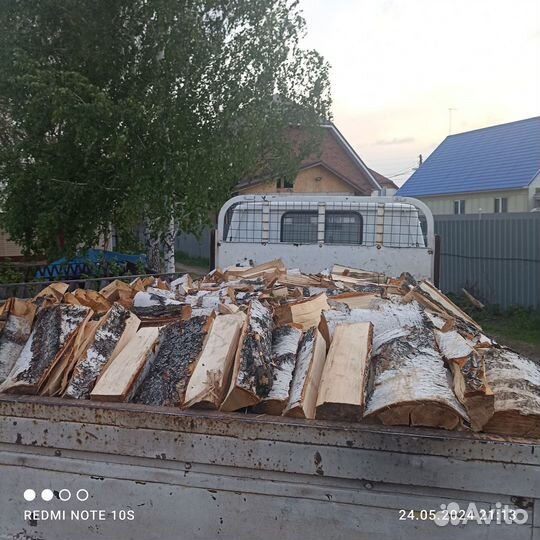 Береза колотая