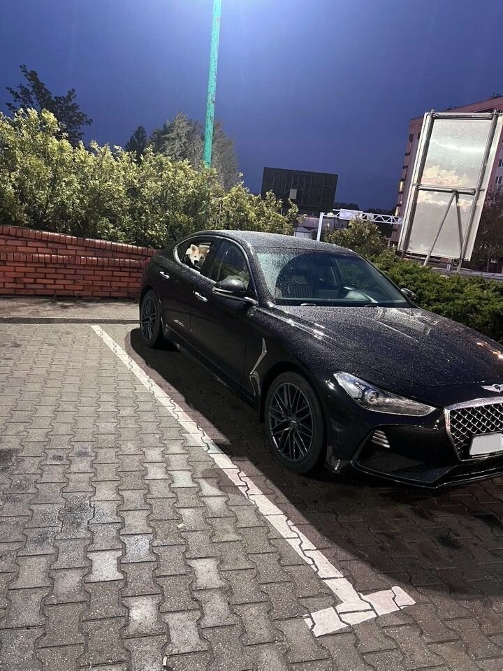 Genesis G70: фото из отзыва