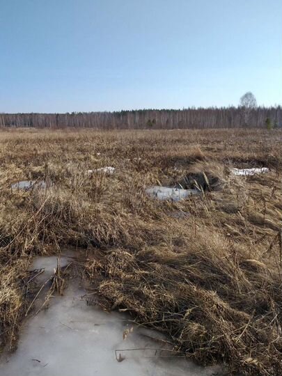 Участок 7 сот. (ИЖС)