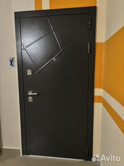 Дверь входная на улицу