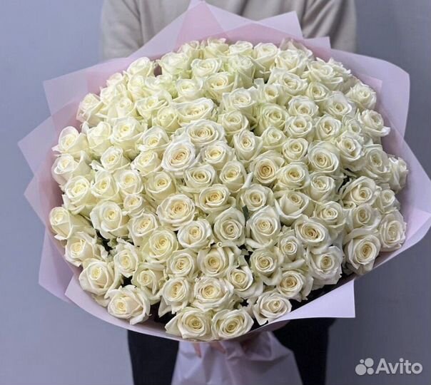 Цветы розы 101 роза