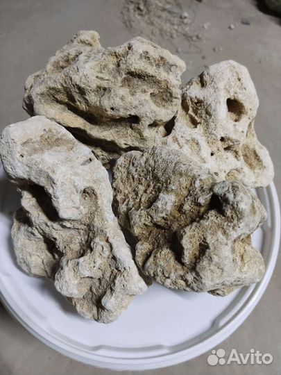 Камень песчаник, миотис для аквариума