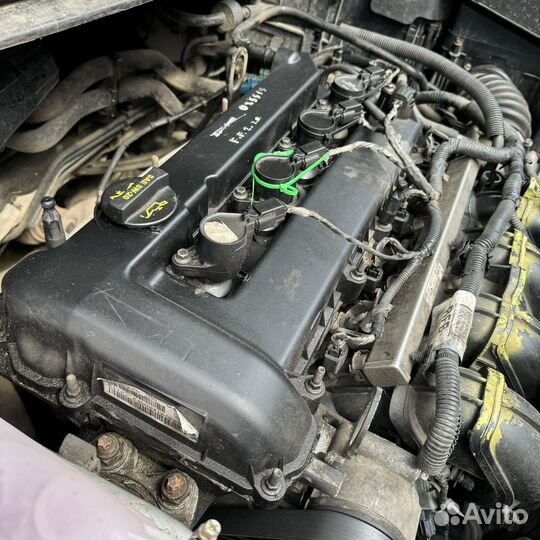 Двигатель Ford focus 2 2.0 145 л Aoda