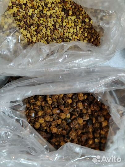 Пыльца пчелиная продам