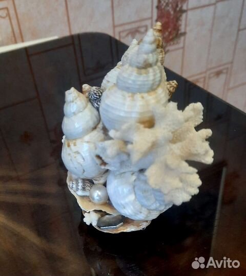 Сувенир из морских ракушек