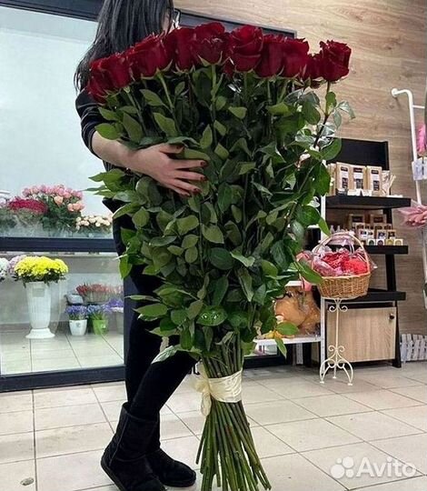 Высокие розы