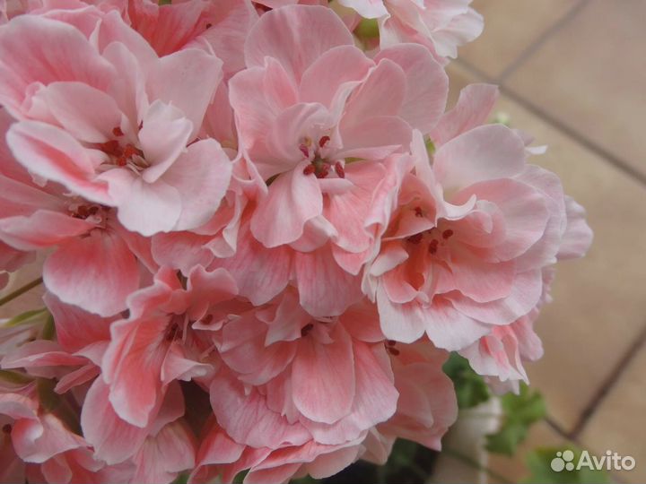 Та Осенний блюз