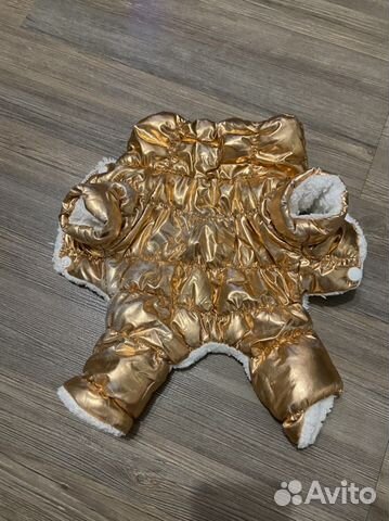 Одежда для собак