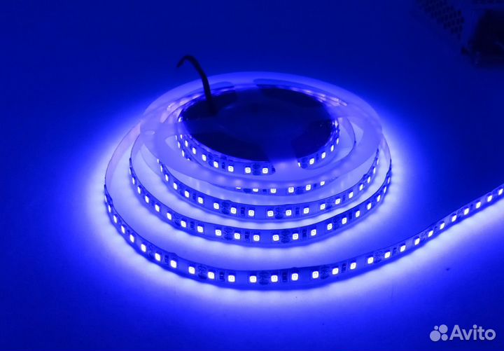 Светодиодная лента уф 12В 9,6 Вт/М IP20