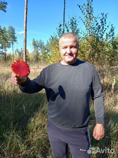 Сварщик,электросварка