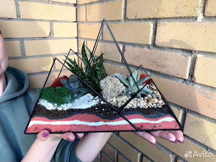 Флорариум, комнатные цветы