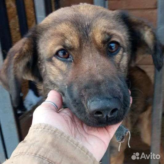 Молодой мальчик хочет домой