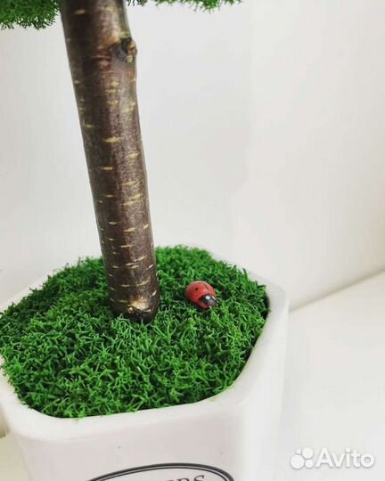 Эко-дерево из стабилизированного мха