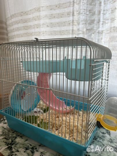 Хамяк с клеткой