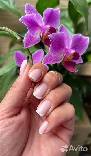 Маникюр педикюр подология