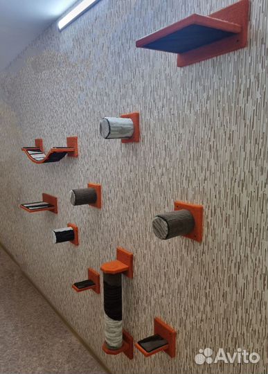 Когтеточки и игровые комплексы