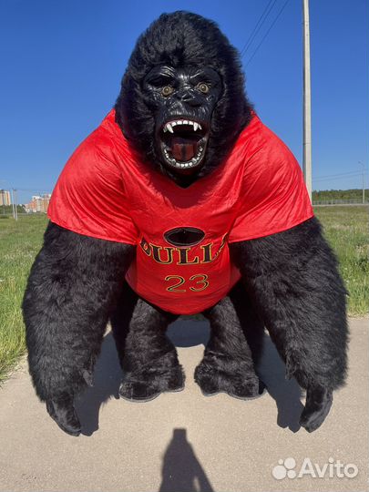 Поздравление