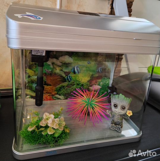 Аквариум