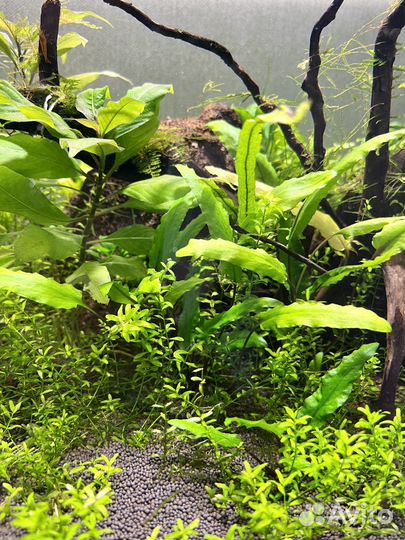 Аквариум 100л