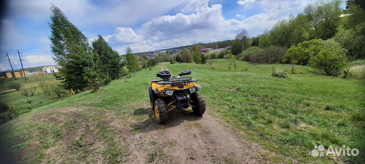 Motoland wild track x 200