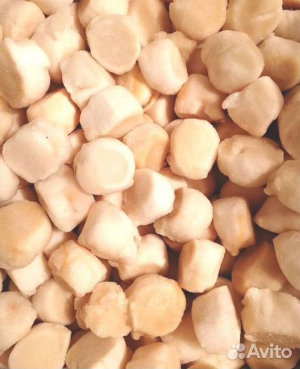 Филе морского гребешка