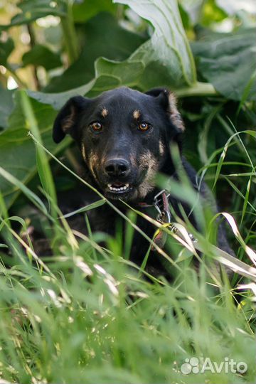 Скромная девочка